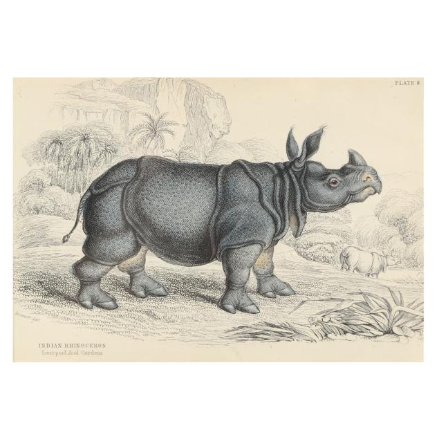 james-hope-stewart-scottish-1791-1863-i-indian-rhinoceros-i