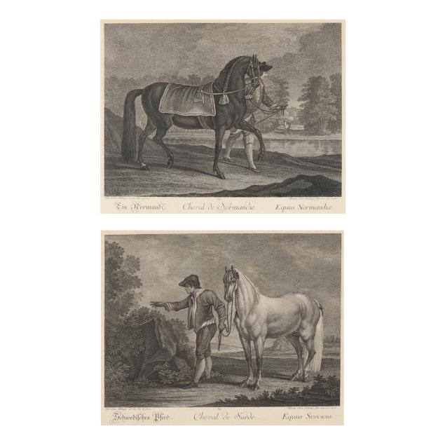 johann-elias-ridinger-german-1698-1767-i-horse-from-sweden-horse-from-normandy-i-two-works