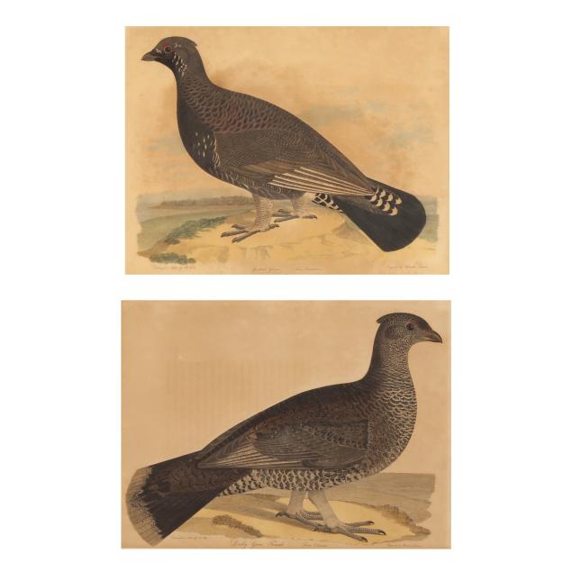 after-alexander-rider-american-active-1810-1834-pair-of-grouse-engravings