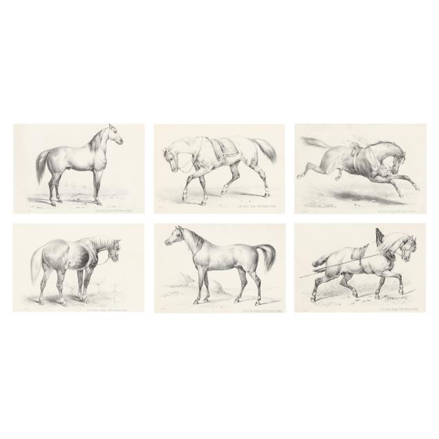 set-of-six-framed-german-horse-lithographs