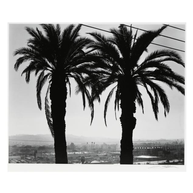 ryan-mcintosh-american-born-1984-i-twin-palms-sunrise-elysian-park-los-angeles-california-i-2019