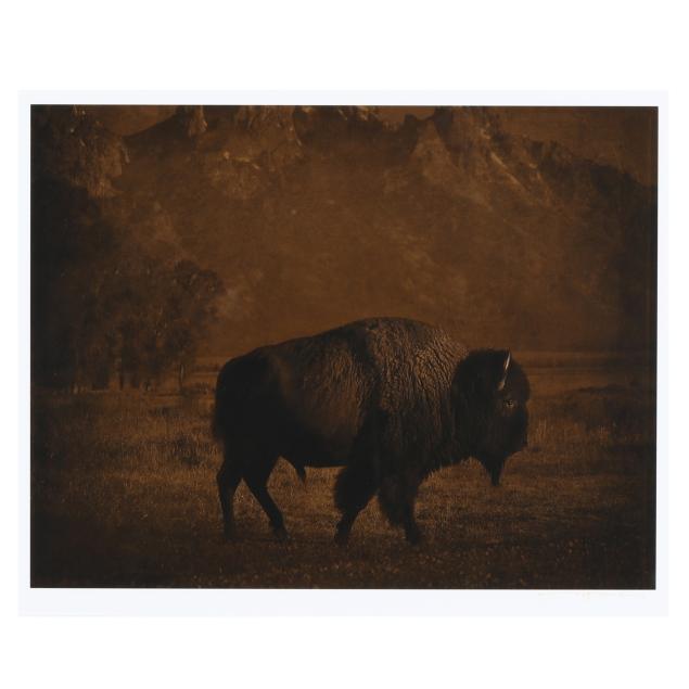 jack-spencer-american-born-1951-i-buffalo-tetons-wyoming-i