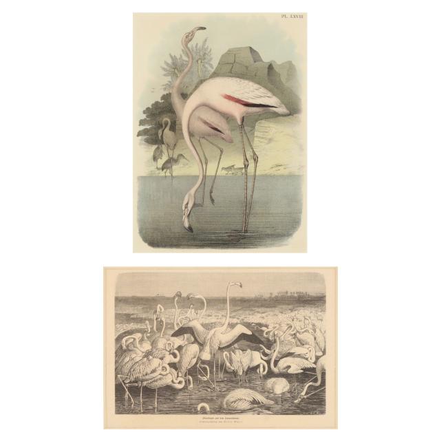 two-framed-prints-featuring-flamingos