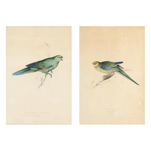 edward-lear-british-1812-1888-two-parakeet-prints-from-i-illustrations-of-the-family-of-psittacidae-or-parrots-i